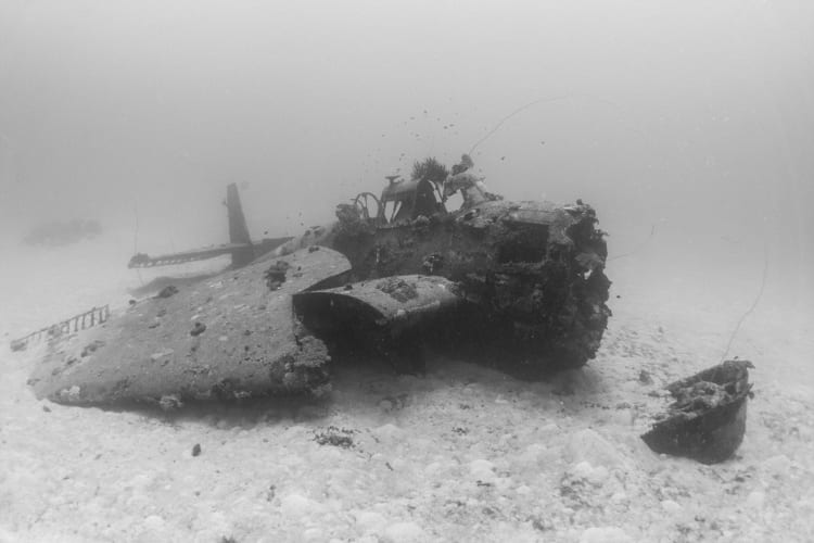 Brandi Mueller Underwater Planes Photography