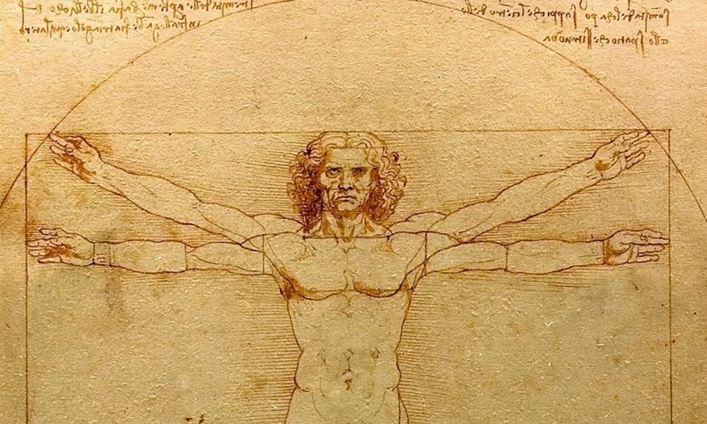 Leonardo Da Vinci Sketches Go On Display For The First Time Ever